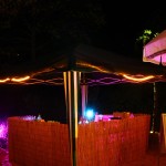 IMG_0345